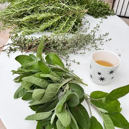 Appartement Minor Swing - - Casa Monica - Cargèse