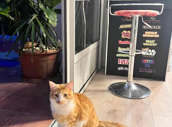 Minor Swing - - Casa Monica - Appartement