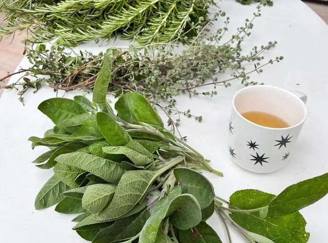 Appartement Minor Swing - - Casa Monica - Cargèse