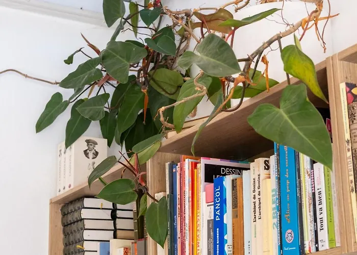 Minor Swing - - Casa Monica - Appartement *