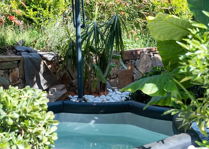 Minor Swing - - Casa Monica - *