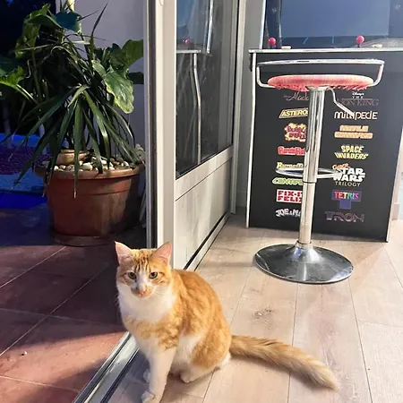 Minor Swing - - Casa Monica - Lägenhet